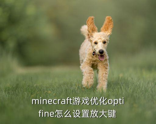 minecraft游戏优化optifine怎么设置放大键