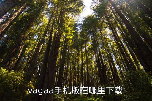 vagaa手机版在哪里下载