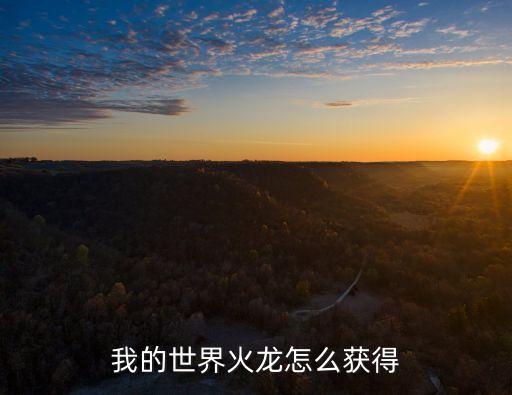 我的世界手游龙怎么得，我的世界怎样弄森林龙