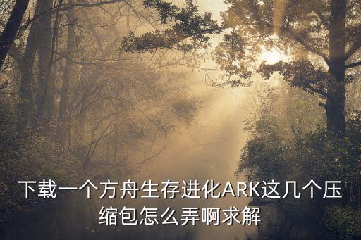 下载一个方舟生存进化ARK这几个压缩包怎么弄啊求解