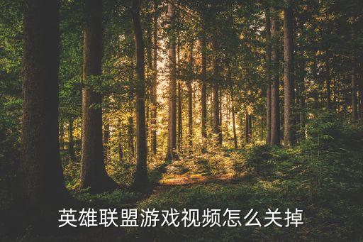 英雄联盟游戏视频怎么关掉