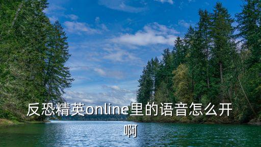 反恐精英online里的语音怎么开啊