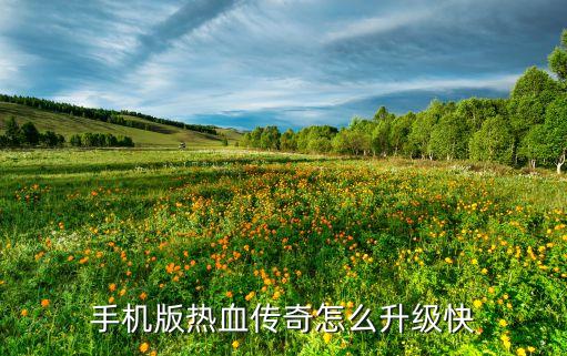 手机版热血传奇怎么升级快