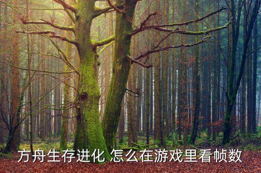 方舟生存进化 怎么在游戏里看帧数