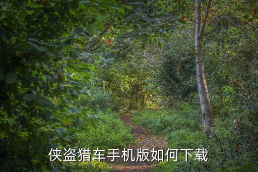 侠盗猎车手机版如何下载