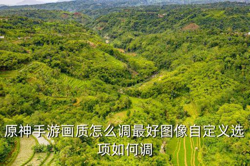 原神手游画质怎么调最好图像自定义选项如何调
