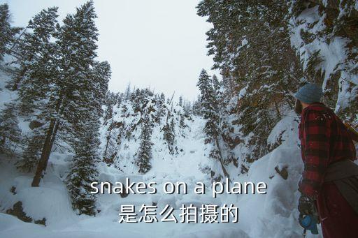 snakes on a plane是怎么拍摄的