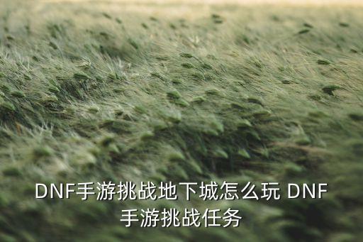 DNF手游挑战地下城怎么玩 DNF手游挑战任务