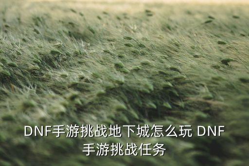 dnf手游赛利亚怎么玩，DNF手游迷你赛丽亚宠物值得培养吗