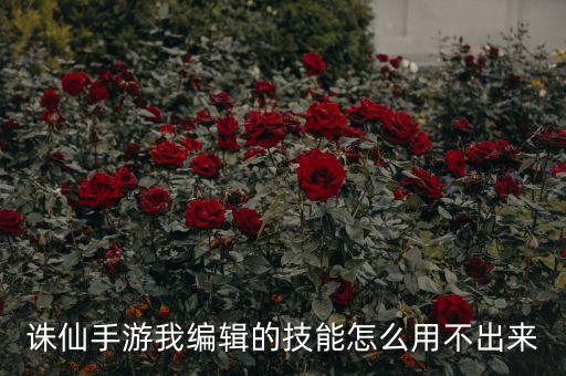 诛仙手游我编辑的技能怎么用不出来