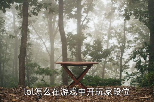 lol怎么在游戏中开玩家段位