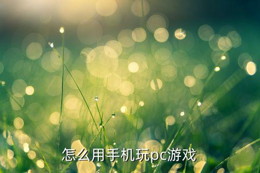 怎么用手机玩pc游戏