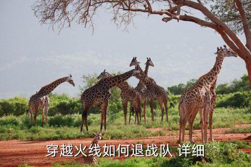 穿越火线如何退战队 详细