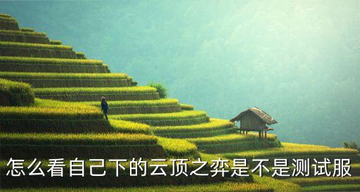 怎么看自己下的云顶之弈是不是测试服
