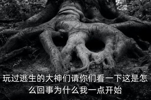 玩过逃生的大神们请你们看一下这是怎么回事为什么我一点开始