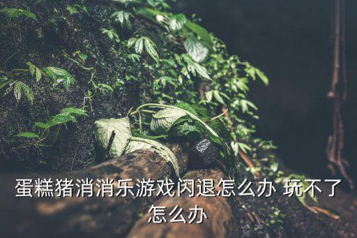 蛋糕猪消消乐游戏闪退怎么办 玩不了怎么办
