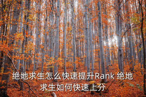 绝地求生怎么快速提升Rank 绝地求生如何快速上分