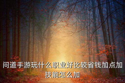 问道手游玩什么职业好比较省钱加点加技能怎么加