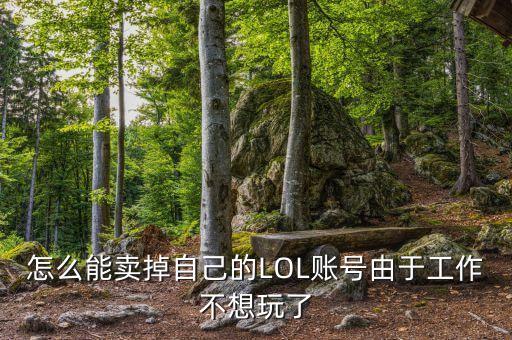 lol手游的id怎么卖，LOL账号在哪里卖