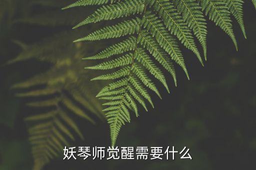 妖琴师觉醒需要什么