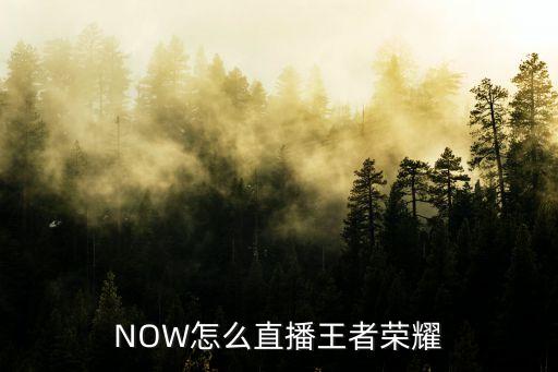 NOW怎么直播王者荣耀