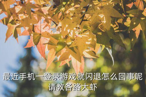 最近手机一登录游戏就闪退怎么回事呢请教各路大虾