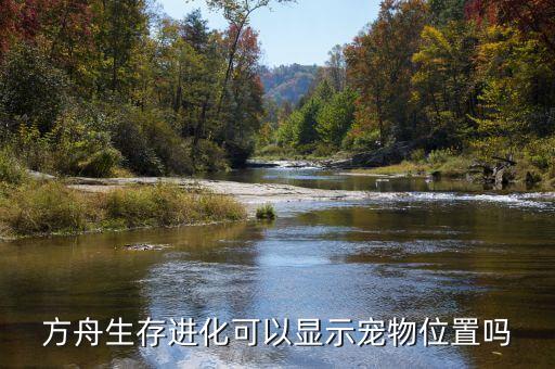 方舟生存进化可以显示宠物位置吗