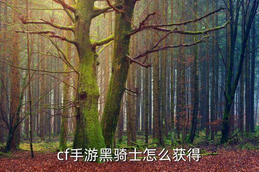cf手游黑骑士怎么获得