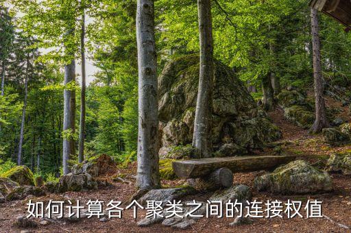 如何计算各个聚类之间的连接权值