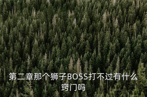 第二章那个狮子BOSS打不过有什么窍门吗