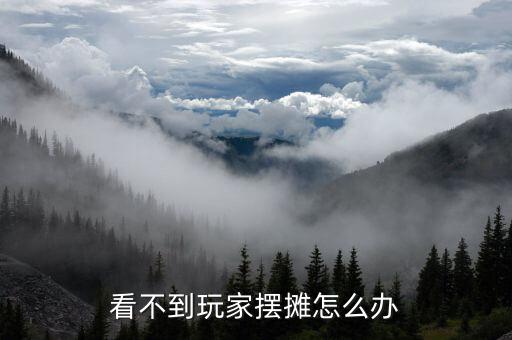 看不到玩家摆摊怎么办