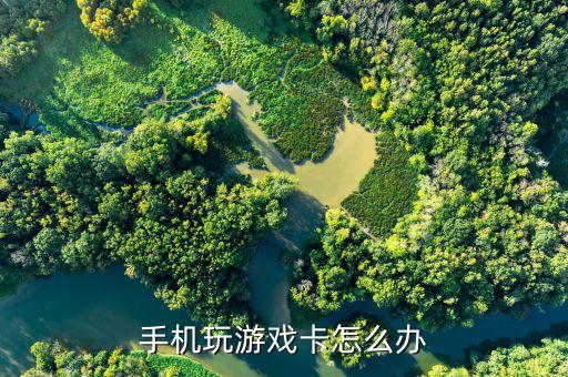 手机玩游戏卡怎么办