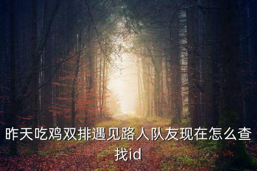 昨天吃鸡双排遇见路人队友现在怎么查找id