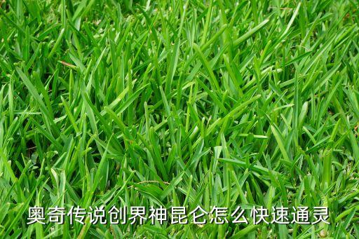 奥奇传说手游通灵师怎么过，洛奇通灵师怎么变身点那个变啊我找过萨玛拉了也完成她给我的