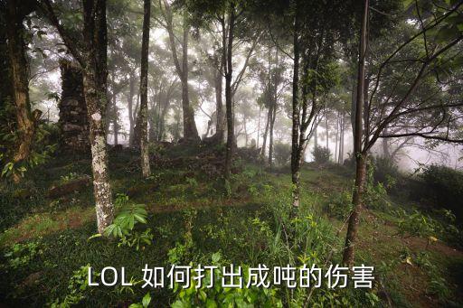 LOL 如何打出成吨的伤害
