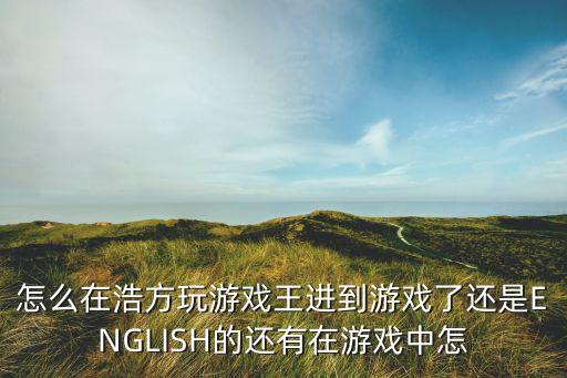 怎么在浩方玩游戏王进到游戏了还是ENGLISH的还有在游戏中怎
