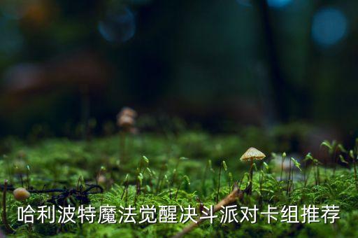 哈利波特魔法觉醒决斗派对卡组推荐