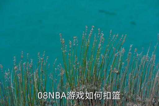 08NBA游戏如何扣篮