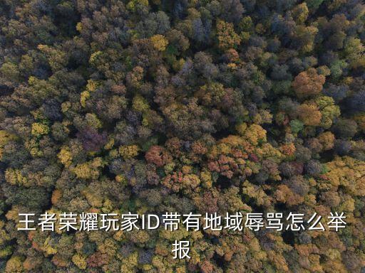 王者荣耀玩家ID带有地域辱骂怎么举报