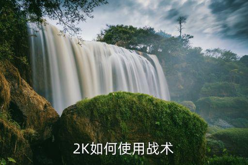 2K如何使用战术