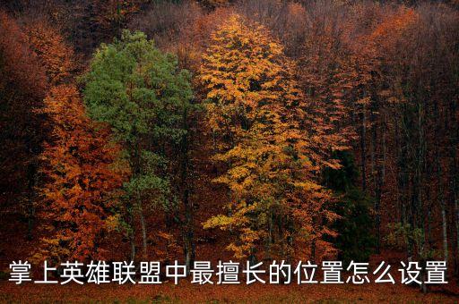掌上英雄联盟中最擅长的位置怎么设置