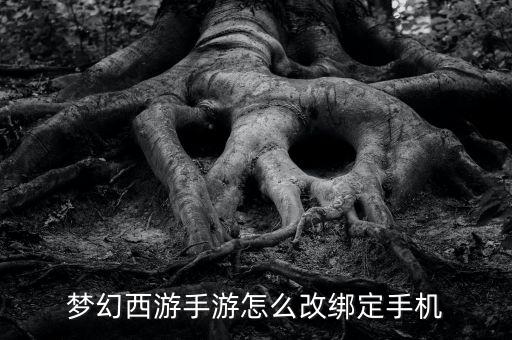 梦幻西游手游怎么改绑定手机