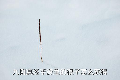 九阴真经手游里的银子怎么获得