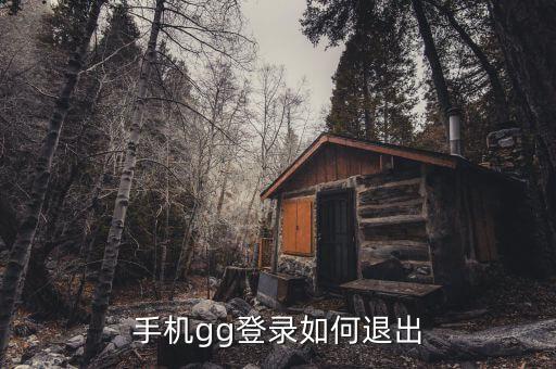 手机gg登录如何退出
