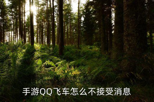 手游QQ飞车怎么不接受消息