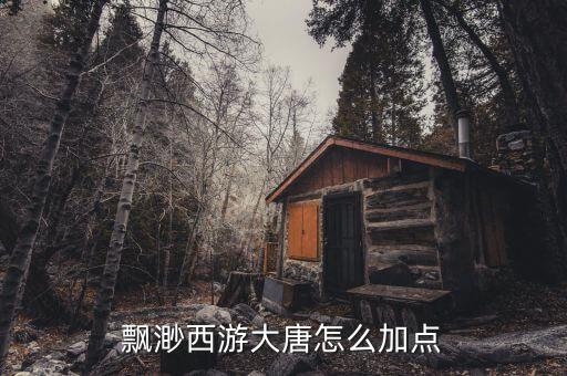 飘渺西游大唐怎么加点