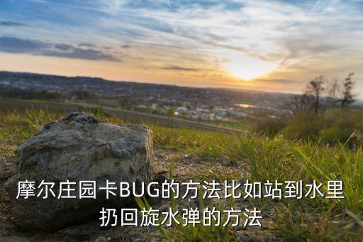 摩尔庄园卡BUG的方法比如站到水里扔回旋水弹的方法