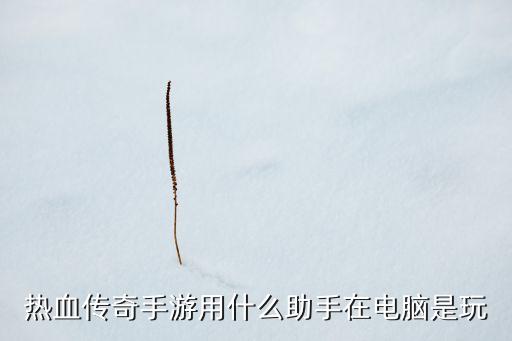 热血传奇手游用什么助手在电脑是玩
