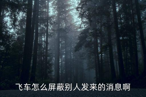 飞车怎么屏蔽别人发来的消息啊