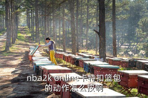 联盟手游卡特新皮肤动作怎么换，nba2k online卡特扣篮包的动作怎么按啊